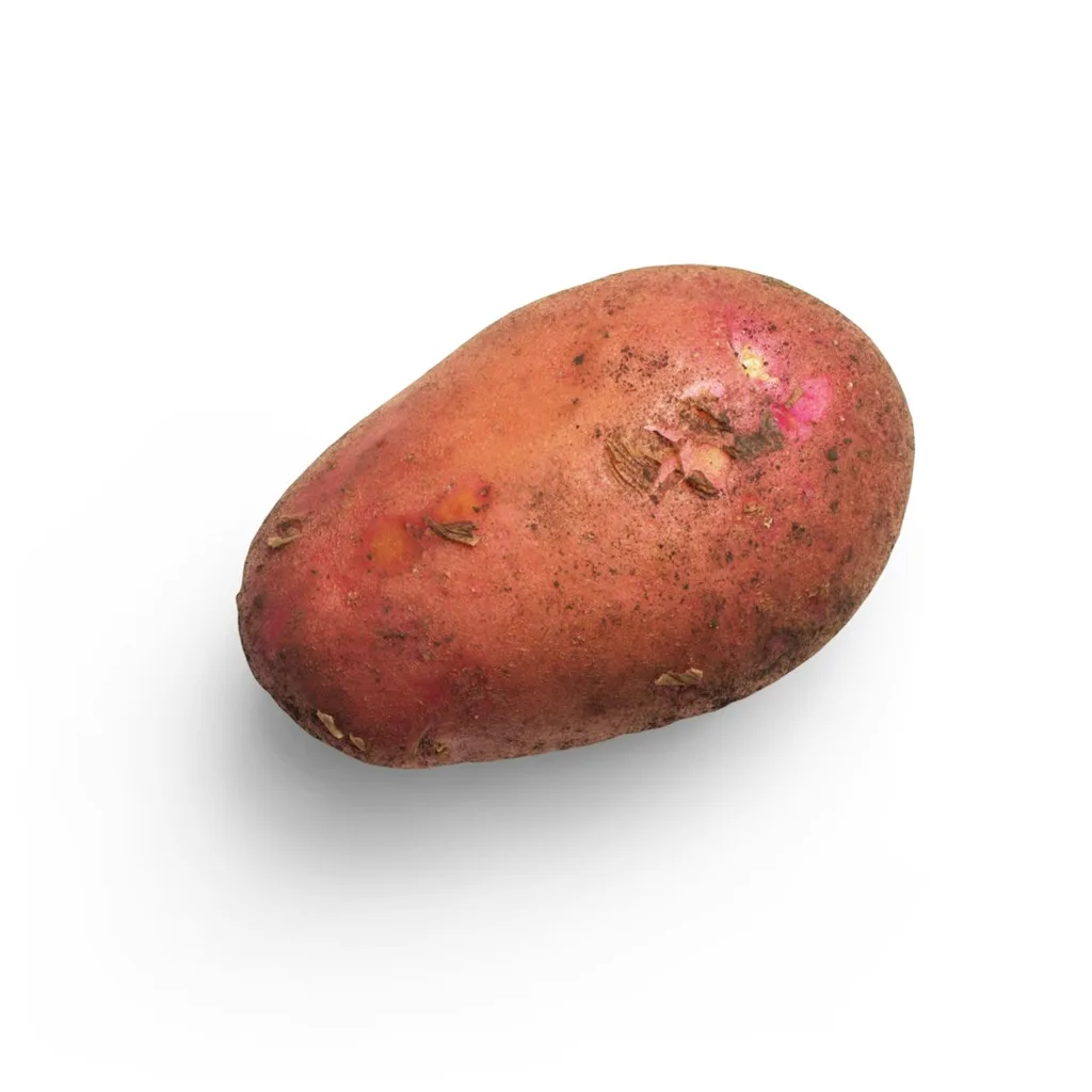 Gunpowder Potatoes — plant-based or original dish photo